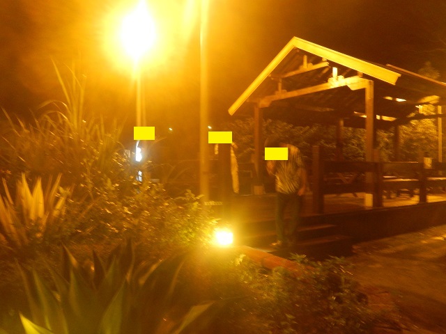 �������̗�����(��)�ƃI�l���V����