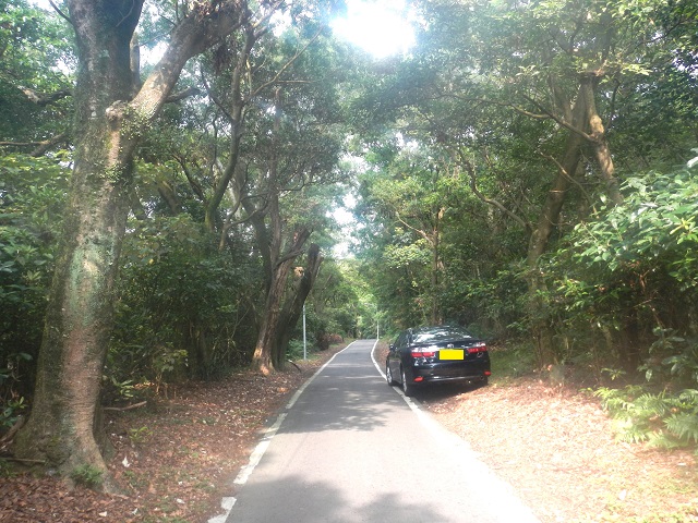 �����^�J�[�@�^�J�T�S�m�R�M�����̂��|�C���g