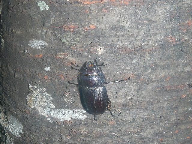 �^�J�T�S�m�R�M�����