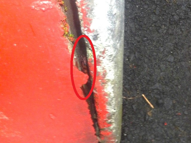 ���񂪌������A�X�^�R�C�f�X�m�R�M����