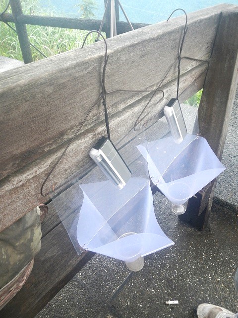 ���񂪔��������b���̂蔠