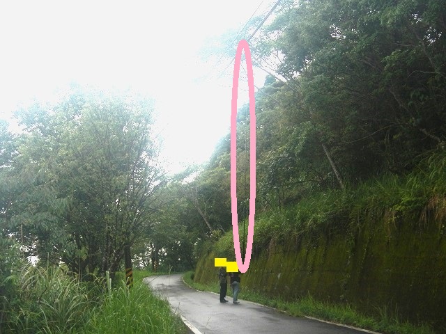 ��ɕt����@����(��)�ƃg�j�[����