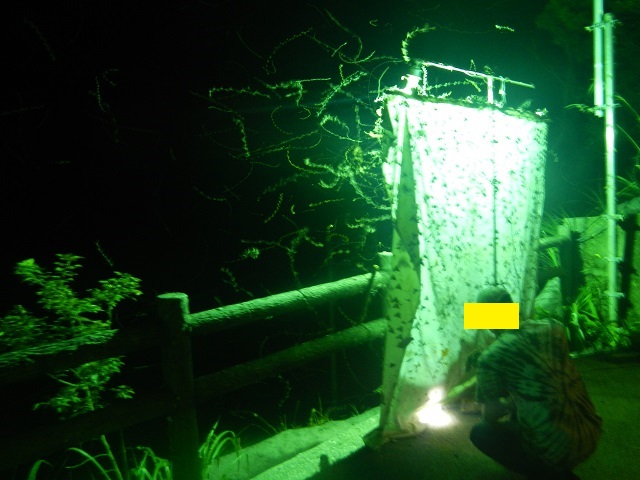 ���������ς�