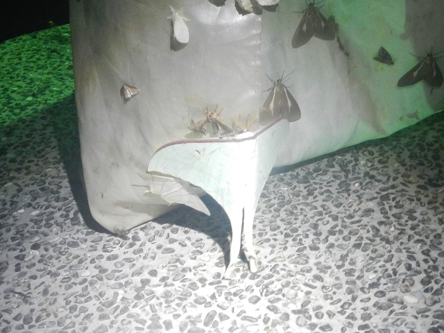 �I�I�~�Y�A�I�̈��