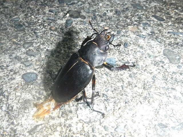 �~���}��