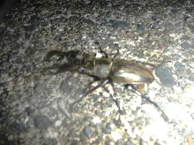 �~���}���@�s���{�P