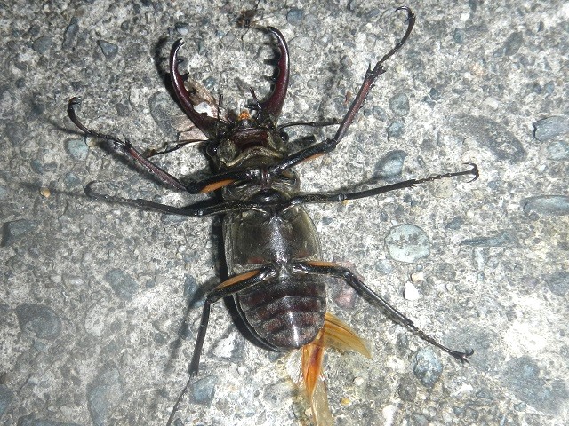 �~���}��