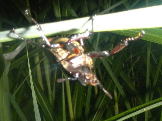 �~���}���@�s���{�P