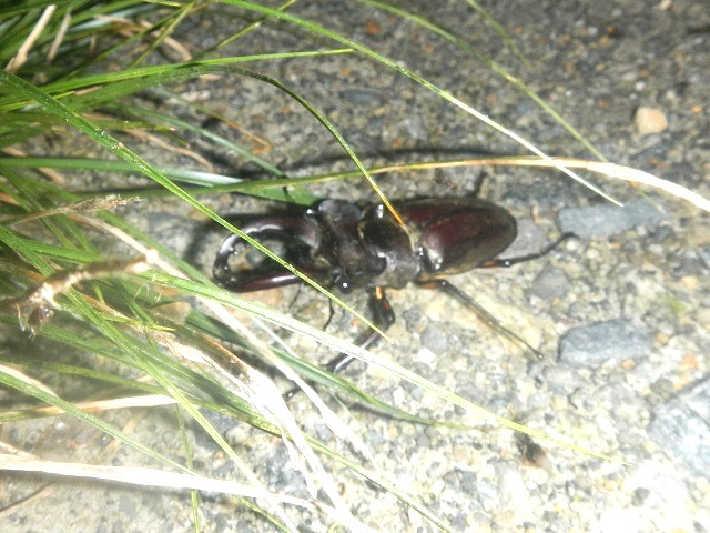 �~���}��