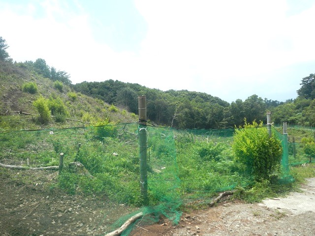 ���̐Ձ@����ŕ�����l�̓c�E^^;