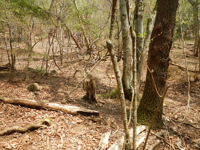 ���̑O�@2014�N04��11��