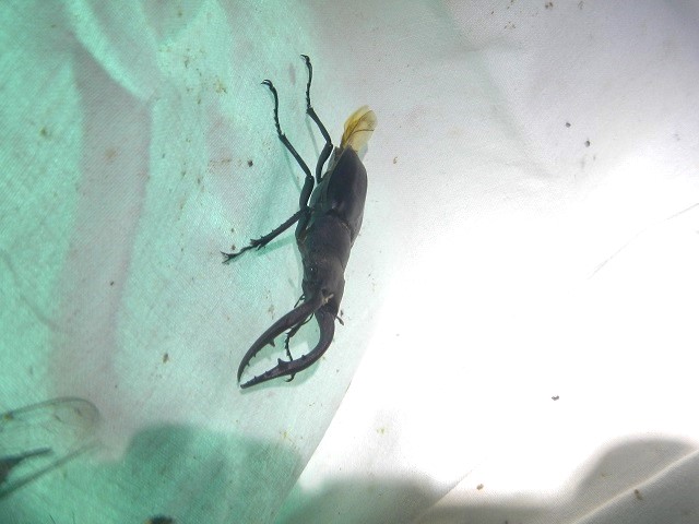 �m�R�M����