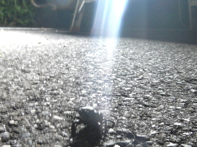 �~���}��