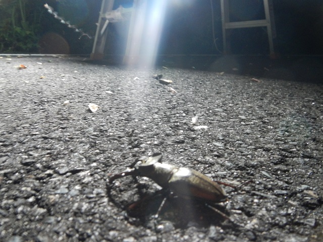 �~���}��