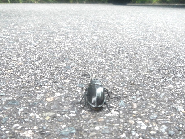 �~���}��