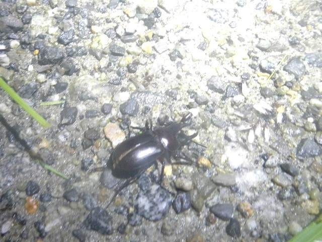 �A�J�A�V��