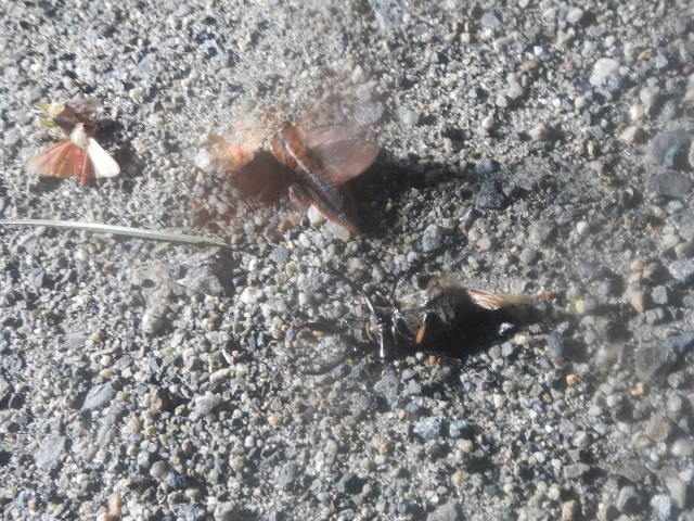 �~���}��