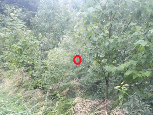 �q���I�I�y�A