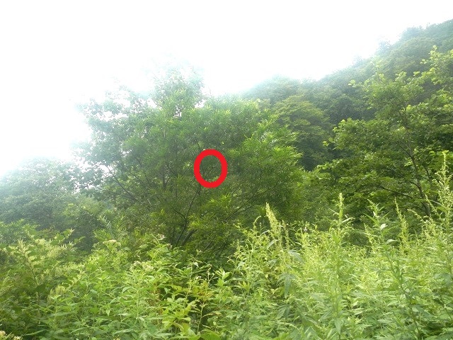 �q���I�I�y�A