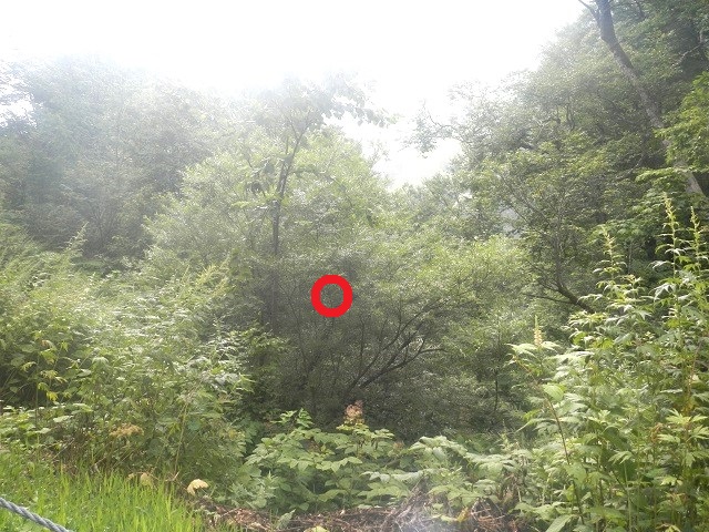 �q���I�I��