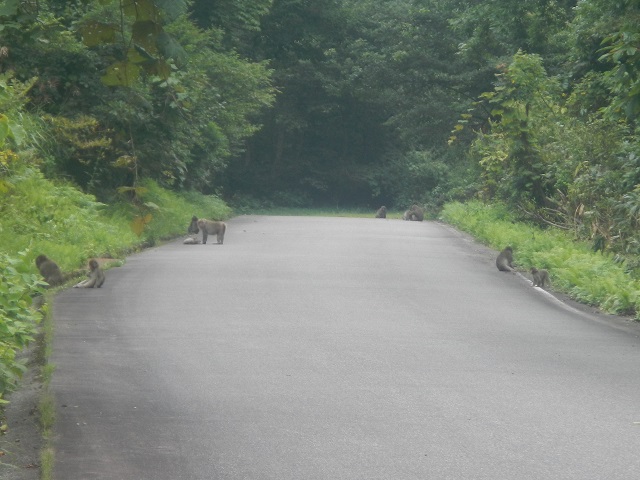 �T��x�����ς�