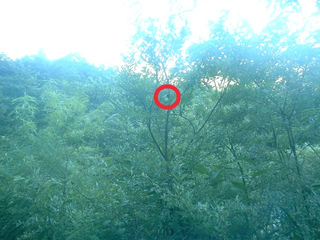 �q���I�I�y�A���A�J�A�V�y�A