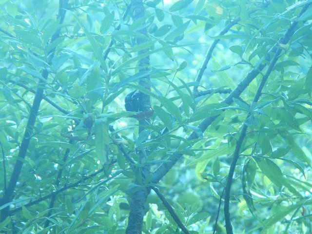 �q���I�I�y�A���A�J�A�V�y�A