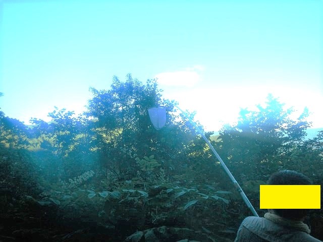 �q���I�I�y�A���A�J�A�V�y�A