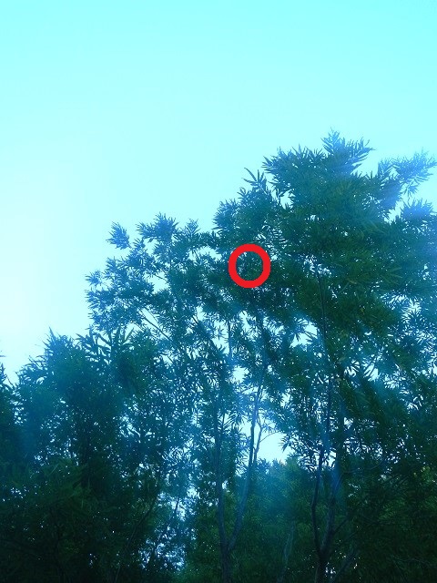 �q���I�I��