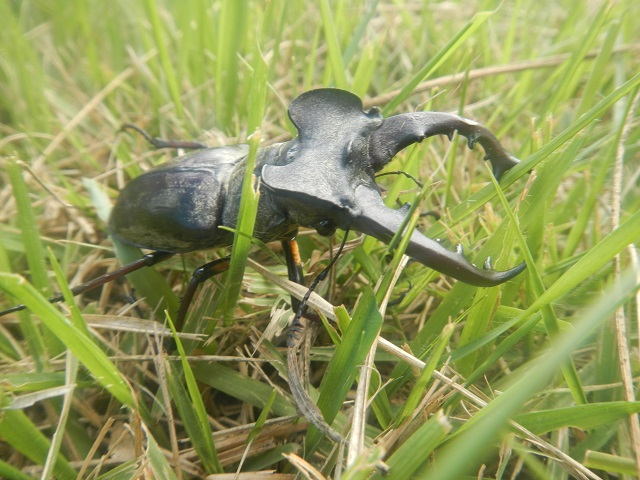 �~���}��