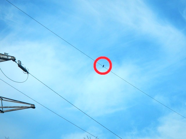 �u�b�|�E�\�E