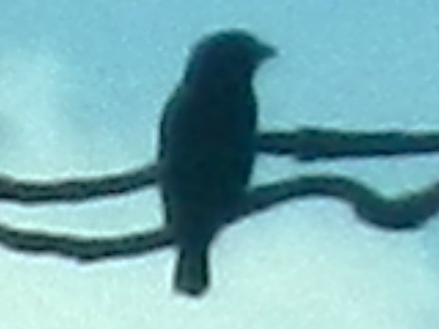 �u�b�|�E�\�E