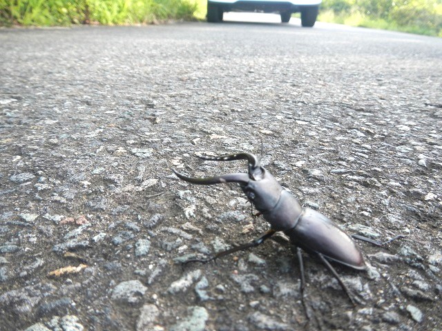 �m�R�M����