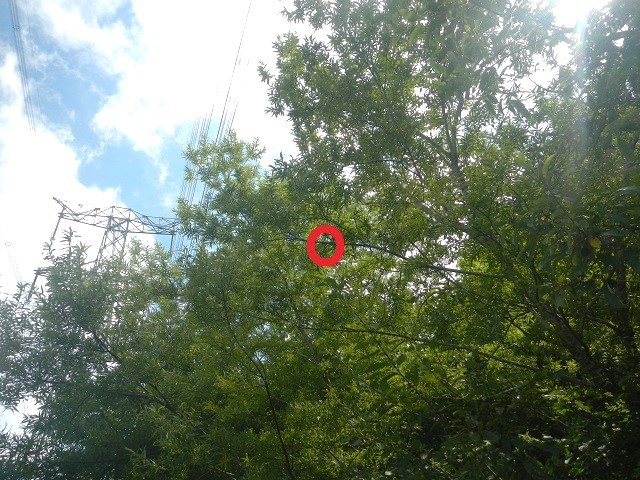 �q���I�I����