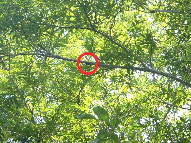 �q���I�I����