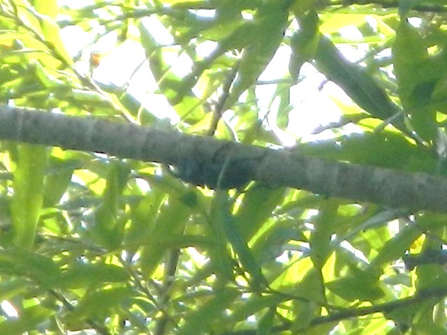 �q���I�I����