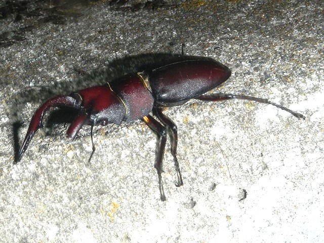 �m�R�M�����A�S����