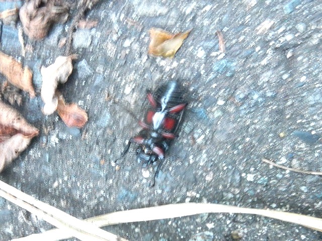 �A�J�A�V��