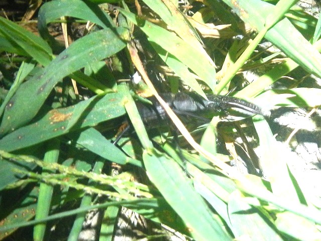 �m�R�M����