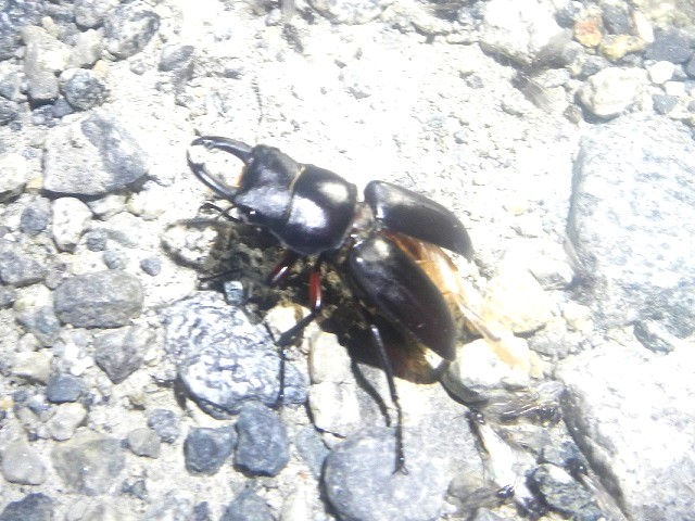 �A�J�A�V��