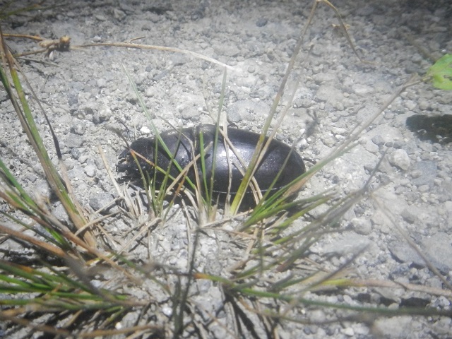 �m�R�M����