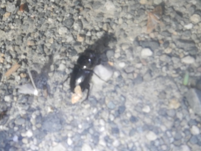 �I�I���@�s���ڂ�