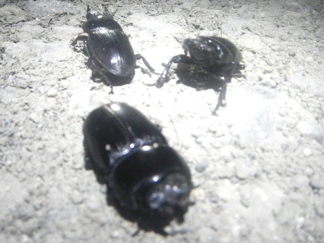 �I�I��x3��