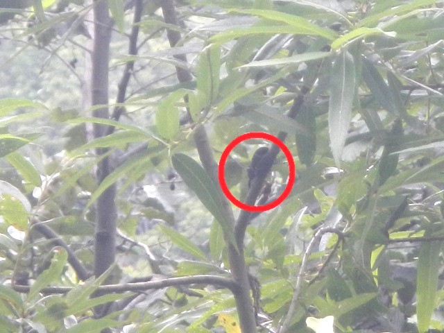 �A�J�A�V��