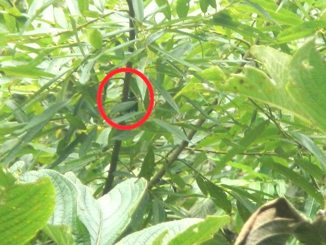 �A�J�A�V�y�A