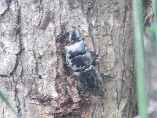 �q���^��