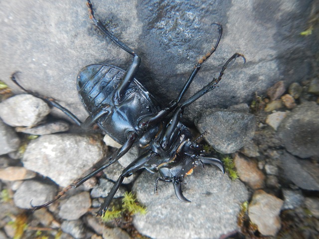 �q���I�I��