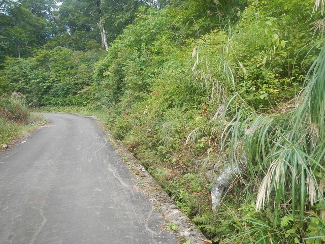 ���E�Z���S�P�Q���n