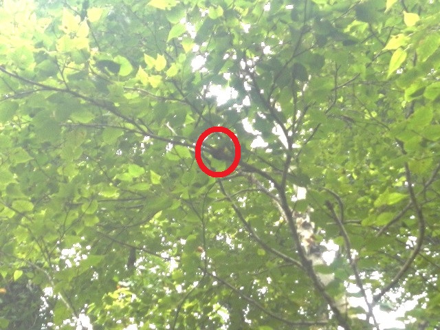 �q���I�I��