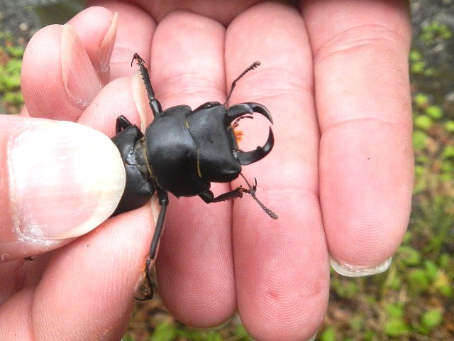 �q���I�I��